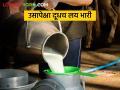 उसाच्या कोल्हापुरात दुध उत्पादन व्यवसाय सरस - Marathi News | Milk production business is profitable then sugarcane in Kolhapur | Latest agriculture News at Lokmat.com