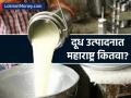 देशात दुध उत्पादनात उत्तर प्रदेश नंबर १! दिवसात १००० लाख लिटर उत्पादन, महाराष्ट्र कितवा? - Marathi News | uttar pradesh becomes indias largest milk producing state 2025 | Latest business News at Lokmat.com