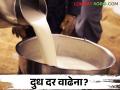 चाऱ्याचा दर दीड पटीने वाढला; दुधाच्या दरात होईल का वाढ? - Marathi News | The price of fodder increased by one and a half times; Will the price of milk increase? | Latest agriculture News at Lokmat.com