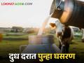 Maharashtra Milk Rate खासगी दूध संघांनी गाय दूध खरेदी दरात केली कपात - Marathi News | Maharashtra Milk Rate, Private milk unions have reduced the purchase rate of cow milk | Latest agriculture News at Lokmat.com