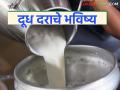 देशभरात दुधाचा फ्लड सिझन सुरू; बटर व पावडरच्या मागणीत वाढ, दुधाचे दर वाढणार का? - Marathi News | Milk flood season begins across the country; Demand for butter and powder increases, will milk prices increase? | Latest agriculture News at Lokmat.com