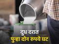 शासनाने दुध दर निश्चित करूनही दुध संघांनी केली त्यात अजून घट - Marathi News | Even though the government has fixed the milk price, the milk unions have further reduced it | Latest agriculture News at Lokmat.com