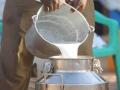 सांगली जिल्ह्यातील दूध उत्पादन दोन लाख लिटरने वाढले - Marathi News | Milk production in Sangli district increased by two lakh litres | Latest sangli News at Lokmat.com