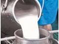 गाईच्या दूध विक्री दरात आजपासून लिटरला दोन रुपयांची वाढ - Marathi News | Cow milk prices rise by Rs 2 per liter | Latest maharashtra News at Lokmat.com