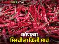 मिरची घ्या मिरची; 'गुजरात गोंदल' मिरचीने पाडला 'ब्याडगी'चा भाव - Marathi News | buy chili; 'Gujarat Gondal' chilli brought down the price of 'Byadgi' chilli | Latest agriculture News at Lokmat.com