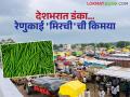 Chilli Market : रोज ५ कोटींची उलाढाल; हिरव्या मिरचीच्या बाजारात पिंपळगाव रेणुकाईचा ठसका - Marathi News | latest news Chilli Market: Daily turnover of 5 crores; Pimpalgaon Renukai footprint in the green chilli market | Latest agriculture News at Lokmat.com