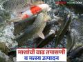 Fish Farming : अधिक मत्स्योपादनासाठी माशांची वाढीची नोंद ठेवा, जाणून घ्या सविस्तर  - Marathi News | latest news Keep records of fish growth for more fish farming, know in detail | Latest agriculture News at Lokmat.com