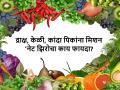 किकुलॉजी: मिशन 'नेट झिरो २०५०' काय आहे? त्याचा शेतीला काय फायदा होणार? - Marathi News | Kikulogy: What is the mission 'Net Zero 2050'? How will it benefit agriculture? | Latest agriculture News at Lokmat.com