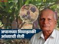 जगातील सर्वांत महागडा जपानमधील मियाझाकी आंबा फुलतोय सांगलीतील 'या' शेतकऱ्याच्या शेतात - Marathi News | The world's most expensive Miyazaki mango from Japan is blooming in the field of 'this' farmer in Sangli | Latest agriculture News at Lokmat.com