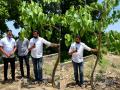 “पिंपळाच्या झाडाची प्रेरणा, सांगलीत मोठी हरित चळवळ, पर्यावरणात सकारात्मक बदल”: सुहास बाबर - Marathi News | inspired by the peepal tree a big green movement in sangli and positive changes to be in the environment said mla suhas babar | Latest sangli News at Lokmat.com
