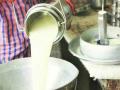 दुग्धोत्पादकांना प्राधान्याने पतपुरवठा करणार - Marathi News | Preference will be given to dairy farmers | Latest buldhana News at Lokmat.com