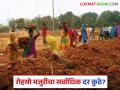 MGNREGA Wages: देशात 'रोहयो' मजुरीचा सर्वाधिक दर या राज्यात; महाराष्ट्राचा कितवा क्रमांक वाचा सविस्तर - Marathi News | MGNREGA Wages: The highest rate of Rohyo wages in the country is in this state; Read Maharashtra's rank in detail | Latest agriculture News at Lokmat.com