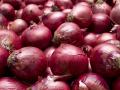 एनसीसीएफकडून कांदा खरेदी सुरू, नाशिक जिल्ह्यात केवळ दोन केंद्रे - Marathi News | Onion purchase from NCCF started, only two centers in Nashik district | Latest agriculture News at Lokmat.com