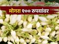 फुलशेतीला पाणीटंचाई आणि उन्हाची झळ; फुलांचा बाजारभाव वधारला - Marathi News | lack of water and heat wave in floriculture; The market price of flowers increased | Latest agriculture News at Lokmat.com