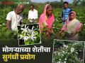 अल्पभूधारक शेतकऱ्याचा सुगंधी प्रयोग; केली हमखास उत्पन्न मिळवून देणाऱ्या मोगऱ्याची शेती - Marathi News | Smallholder farmer's aromatic experiment; He created a mogra farm that provides guaranteed income | Latest agriculture News at Lokmat.com
