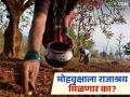 Mahua Agri Business : मोहफुलांवर आधारित प्रक्रिया उद्योग उभे का राहू शकले नाहीत? - Marathi News | Latest News Mohfule Why couldn't processing industry based on mahua tree of trible area | Latest agriculture News at Lokmat.com
