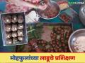 Mohfule Ladu : असे बनवा मोह फुलापासून पौष्टिक लाडू, तोंडापूर कृषी विज्ञान केंद्रात प्रशिक्षण, वाचा सविस्तर - Marathi News | Latest News How to make nutritious laddus from Moha flower, training at Tondapur Krishi Vigyan Kendra, read in detail | Latest agriculture News at Lokmat.com