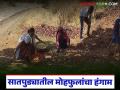 सातपुड्यात मोहफुलांचा हंगाम, पहाटेपासून वेचणी, आदिवासींना रोजगार, दर कसा मिळतोय?  - Marathi News | Latest news Mohaphula season in Satpura, picking from early morning, employment for tribals | Latest agriculture News at Lokmat.com