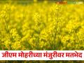 Supreme Court's decision about Mustard ``GM": जीएम वाणावर सर्वोच्च न्यायालयाचा असा आला निर्णय - Marathi News | Controversy over Supreme Court's decision to approve Mustard ``GM'' | Latest agriculture News at Lokmat.com