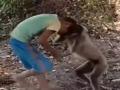 Viral Video: माकड आणि मुलाची तूफान हाणामारी, बघा पुढे काय झालं... - Marathi News | Fight between child and monkey watch viral video | Latest social-viral News at Lokmat.com