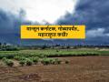 Maharashtra Monsoon Update : मान्सून कर्नाटक, गोव्यापर्यंत, महाराष्ट्रात कधीपर्यंत येईल? वाचा सविस्तर  - Marathi News | Latest News monsoon entered in goa when will reach in maharashtra know date article | Latest agriculture News at Lokmat.com