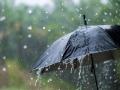 राज्यात पावसाने गाठली सरासरी; हंगामी पाऊस ११८ इंच - Marathi News | rainfall in the goa state has reached average seasonal rainfall 118 inches | Latest goa News at Lokmat.com