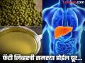 सकाळी रिकाम्या पोटी प्या मूग डाळीचं पाणी, फॅटी लिव्हरची समस्या होईल कमी; जाणून घ्या कसं बनवाल! - Marathi News | Benefits of drinking moong dal water, it can detox liver also | Latest health News at Lokmat.com