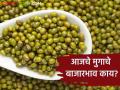 Moong Bajar Bhav : पहिल्या माळेला कारंजा बाजारात मुगाची सर्वाधिक आवक; काय मिळाला दर ते वाचा सविस्तर  - Marathi News | Moong Bajar Bhav : Highest arrival of moong in Karanja market; Read in detail  | Latest agriculture News at Lokmat.com