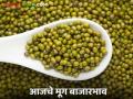 Moong Bajar Bhav : हिरवा जातीच्या मुगाची सर्वाधिक आवक कोणत्या बाजारात; काय मिळतोय भाव ते वाचा सविस्तर - Marathi News | Moong Bajar Bhav : Which market has the highest arrival of green moong; Read in detail what the price is getting | Latest agriculture News at Lokmat.com