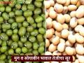 Moong, Soybean Bajarbhav : मुग व सोयाबीन बाजारात तेजीचा सूर; अकोल्यात मिळाला विक्रमी दर - Marathi News | latest news Moong, Soybean Bajarbhav: Moong and soybean market is booming; Record prices achieved in Akola | Latest agriculture News at Lokmat.com