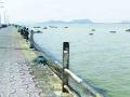 नौदलाच्या ब्रेकवॉटर जेट्टीमुळे मोरा बंदर गाळाच्या विळख्यात - Marathi News |  Due to breakwater jetty, Mora Bandar silt | Latest raigad News at Lokmat.com