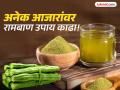 हिवाळ्यात अनेक आजारांपासून वाचवेल शेवग्याच्या पानांचा खास काढा, जाणून घ्या कसा बनवाल! - Marathi News | Moringa leaves kadha health benefits in winter, know how to make it | Latest food News at Lokmat.com