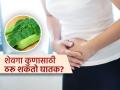 विकतच्या शेवग्याच्या पावडरी खाल्ल्याने गर्भपाताचा धोका, डॉक्टर सांगतात शेवगा सप्लिमेण्टचे घातक परिणाम - Marathi News | Doctor tells moringa supplements can cause miscarriage, Know who should avoid moringa powder | Latest sakhi News at Lokmat.com