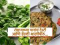 शेवग्याच्या पानांचं थालीपीठ! भरपूर पोषण आणि चमचमीत पदार्थ-खमंग-खुसशीत मेजवानीच - Marathi News | How to make healthy, chrispy and tasty moringa leaves thalipeeth at home | Latest sakhi News at Lokmat.com