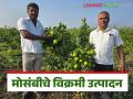 Farmer Success Story : दोन एकरात काढले 30 टन मोसंबीचे उत्पादन, येवल्याच्या शेतकऱ्यांची कमाल  - Marathi News | Latest News Farmer Success Story Thirty tons of citrus produced in two acres by young farmer from Yeola | Latest agriculture News at Lokmat.com