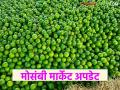 Mosambi Market : जालना बाजारात मोसंबी आवक वाढली; 'इतक्या' हजारांवर दर स्थिरावले वाचा सविस्तर - Marathi News | latest news Mosambi Market: Mosambi arrivals increased in Jalna market; Prices stabilized at 'so many' thousands Read in detail | Latest agriculture News at Lokmat.com