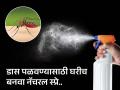 'या' ३ गोष्टींचं मिश्रण करून घरात शिंपडा, कानाजवळ येऊन घोंगावणार नाही एकही डास... - Marathi News | Mosquito repelant spray to remove insect and mosquitos completely | Latest sakhi News at Lokmat.com