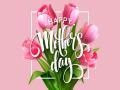 Mother's Day : तुम्हाला माहीत आहे का? कशी झाली या दिवसाची सुरुवात... जाणून घ्या! - Marathi News | Mothers day 2019 when is mothers day mother day date history of mothers day | Latest relationship News at Lokmat.com