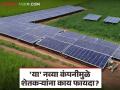 MSEB Solar Agro Power Company : महावितरणमध्ये ऐतिहासिक बदल; 'या' नव्या कंपनीमुळे शेतकऱ्यांना काय फायदा? - Marathi News | | Latest agriculture News at Lokmat.com