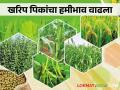 MSP Kharif Crop शेतकऱ्यांसाठी खुशखबर; खरिपातील या १४ पिकांच्या हमीभावात झाली वाढ - Marathi News | MSP Kharif Crop; Good news for farmers; There has been an increase in the MSP of these 14 crops in Kharif | Latest agriculture News at Lokmat.com