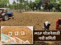 MSP GR : शेतमाल हमीभाव खरेदीतील गैरप्रकार टाळण्यासाठी महत्वाचा जीआर, काय आहे निर्णय  - Marathi News | Latest News Important GR to prevent irregularities in purchase of agricultural commodities at guaranteed price | Latest agriculture News at Lokmat.com