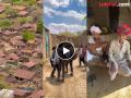 भारतातील एक असं गाव जिथे मातीच्या घरात राहतात कोट्याधीश लोक, कारण... - Marathi News | Deomali village Rajasthan everyone lives in mud house | Latest social-viral News at Lokmat.com
