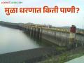 Mula Dam Water : मुळा धरणाच्या पाणीसाठ्यात मोठी घट; शेतीसाठी सुरु आहे शेवटचे आवर्तन - Marathi News | Mula Dam Water : Huge reduction in water storage of Mula Dam; Last round of irrigation for agriculture begins | Latest agriculture News at Lokmat.com