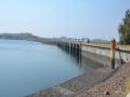 पाणलोटात पावसाची पुन्हा हजेरी; मुळा धरण ५५ टक्के भरले - Marathi News | Reappearance of rain in the watershed; Radish dam is 55 percent full | Latest ahilyanagar News at Lokmat.com