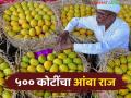 ४९ वर्षांचा इतिहास अन् आंबा व्यापारात सुमारे ५०० कोटींची उलाढाल करणारी 'ही' आहे महाराष्ट्रातील प्रसिद्ध बाजार समिती - Marathi News | This is the famous market committee in Maharashtra with a history of 49 years and a turnover of around Rs 500 crore in mango trade. | Latest agriculture News at Lokmat.com