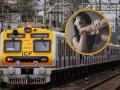 Mumbai Local: धावत्या लोकलमध्ये ३० वर्षीय तरुणीसोबत घृणास्पद प्रकार, प्रवाशांमध्ये संताप! - Marathi News | Mumbai: 40-Year-Old Man Booked For Molesting and Filming Woman Without Consent On Local Train | Latest mumbai News at Lokmat.com