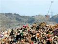 देवनार येथील वीजनिर्मिती प्रकल्पाला स्थानिकांचा विरोध, नागरी सुविधांवर ताण पडण्याची भीती : स्थानिकांचे आंदोलन  - Marathi News | Locals oppose power generation project at Deonar, fear of stress on civic amenities: Locals protest | Latest mumbai News at Lokmat.com