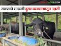 Dairy Success Story १५ म्हशींच्या संगोपनातून राहुल पाटील मिळवितात महिन्याला दीड लाखाचे उत्पन्न - Marathi News | Rahul Patil earns an income of one and a half lakh per month from dairy farm of 15 buffaloes | Latest agriculture News at Lokmat.com