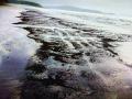 मुरुड किनाऱ्यावर तेलाच्या तवंगामुळे मासेमारी धोक्यात - Marathi News | Fisheries in danger due to oil discovery on Murud coast | Latest raigad News at Lokmat.com