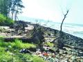 मुरुड समुद्रकिनाऱ्याची बंधा-याअभावी दुर्दशा - Marathi News | The plight of the Murud beach dam | Latest raigad News at Lokmat.com